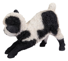 Load image into Gallery viewer, Small Black &amp; White Baby Lamb Playing
