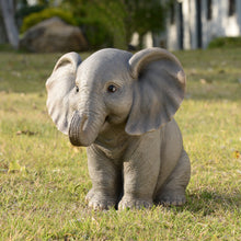 Load image into Gallery viewer, Soreal - Elephant
