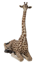 Load image into Gallery viewer, Baby Giraffe Lying
