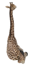 Load image into Gallery viewer, Baby Giraffe Lying
