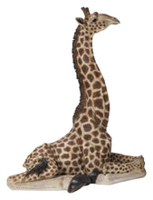 Load image into Gallery viewer, Baby Giraffe Lying
