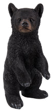 Load image into Gallery viewer, Black Bear Cub Standing Statue
