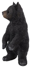 Load image into Gallery viewer, Black Bear Cub Standing Statue
