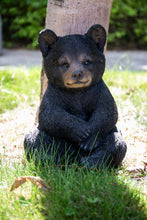 Load image into Gallery viewer, Sitting Black Bear Cub
