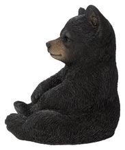 Load image into Gallery viewer, Sitting Black Bear Cub
