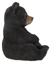 Load image into Gallery viewer, Sitting Black Bear Cub
