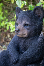 Load image into Gallery viewer, Sitting Black Bear Cub
