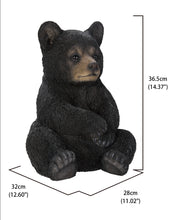 Load image into Gallery viewer, Sitting Black Bear Cub
