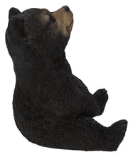 Load image into Gallery viewer, Sitting Black Bear Cub with Head Up
