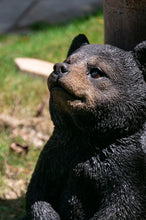 Load image into Gallery viewer, Sitting Black Bear Cub with Head Up
