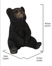 Load image into Gallery viewer, Sitting Black Bear Cub with Head Up

