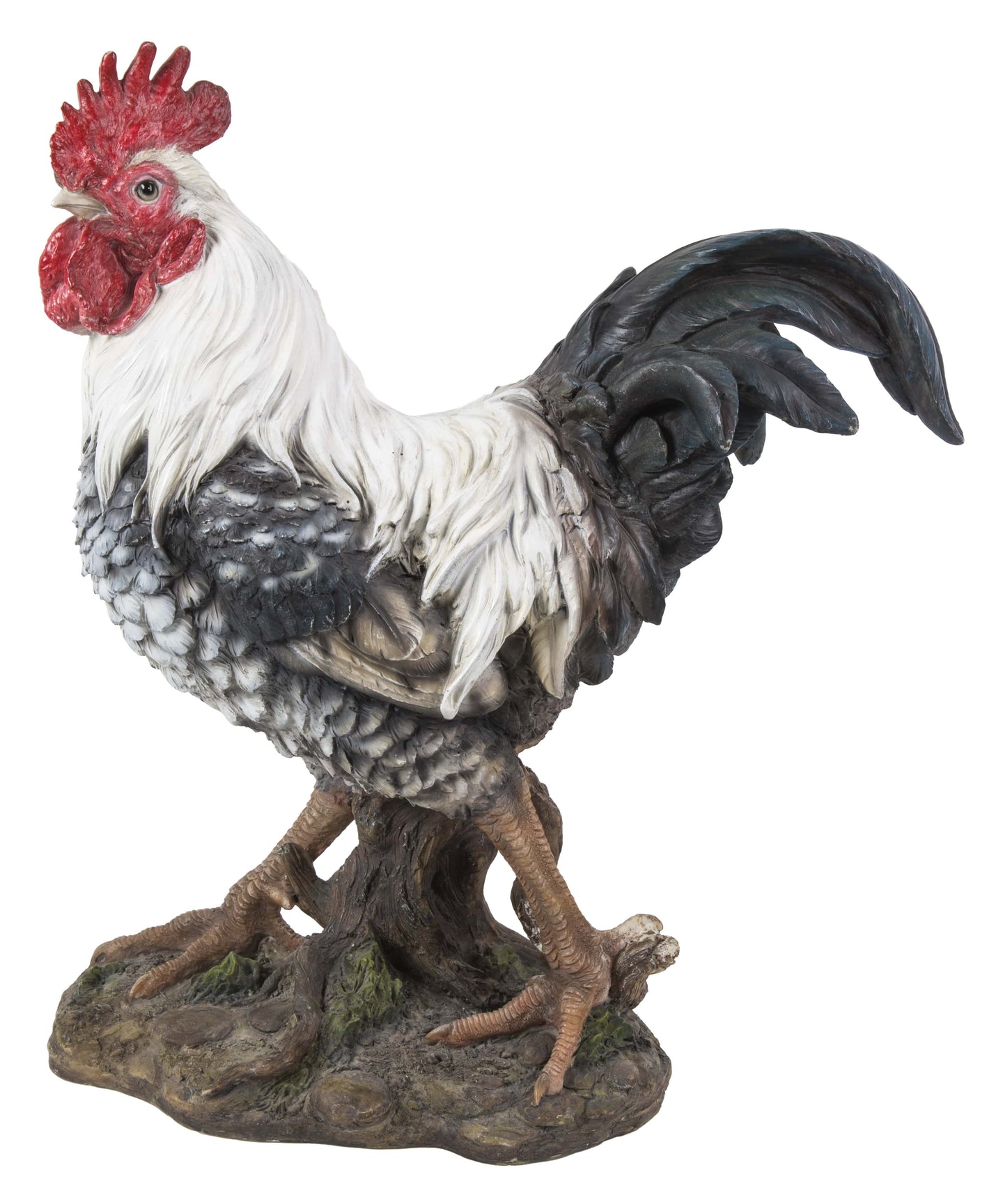 Rooster - Black & White