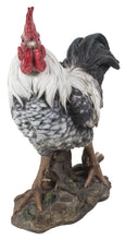 Load image into Gallery viewer, Rooster - Black &amp; White
