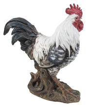 Load image into Gallery viewer, Rooster - Black &amp; White
