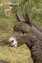 Load image into Gallery viewer, Standing Brown Donkey Looking Left Statue
