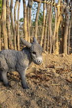 Load image into Gallery viewer, Standing Grey Donkey Looking Right Statue
