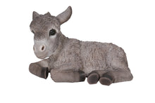 Load image into Gallery viewer, Medium Donkey Foal Lying Down
