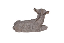 Load image into Gallery viewer, Medium Donkey Foal Lying Down
