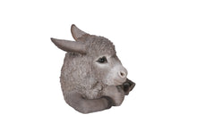 Load image into Gallery viewer, Medium Donkey Foal Lying Down

