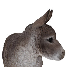 Load image into Gallery viewer, Standing Donkey Looking Left Statue
