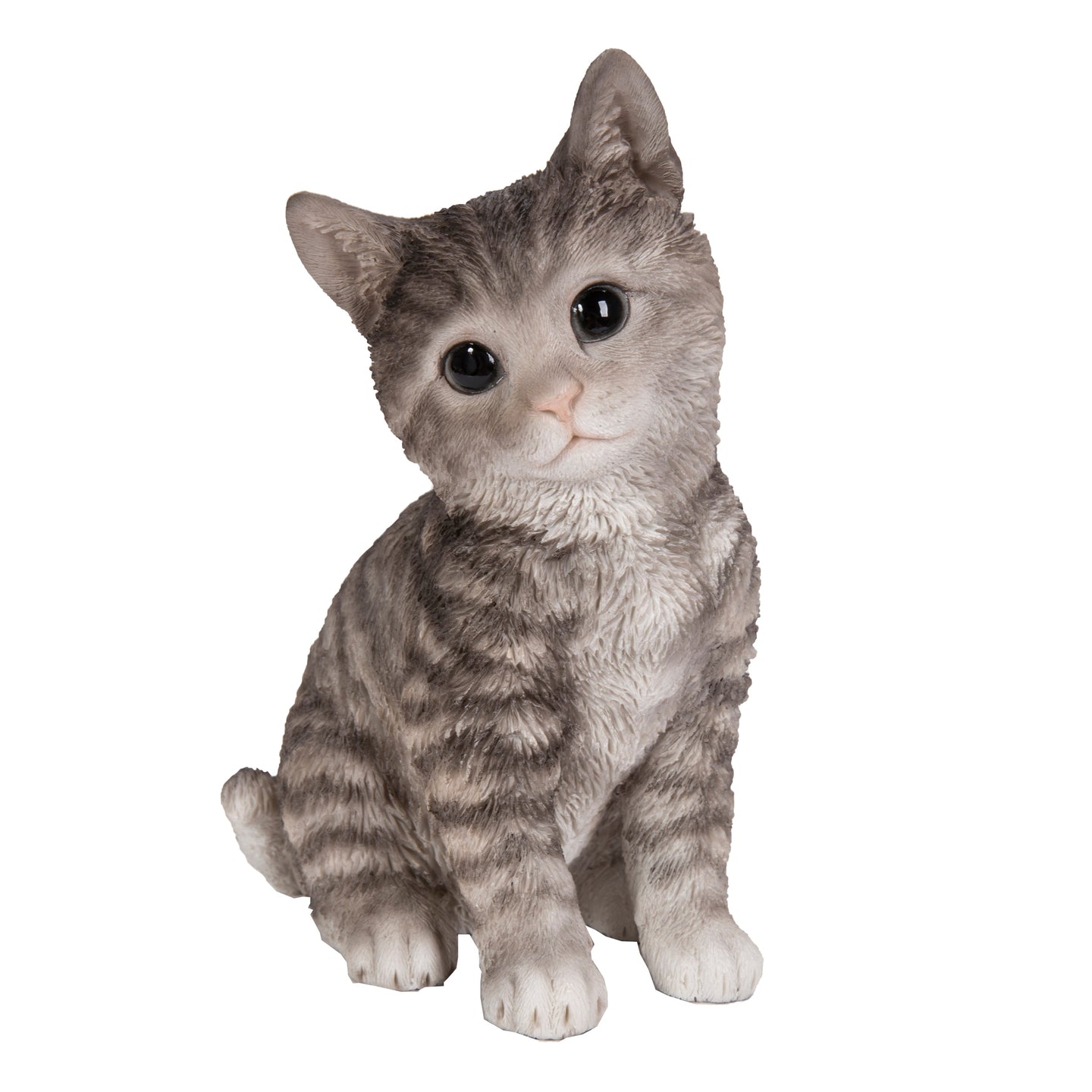 Head-Tilting Grey Tabby Kitten Sitting