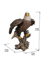 Load image into Gallery viewer, Bald Eagle On Stump W/Wings Out Statue
