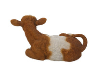 Load image into Gallery viewer, Brown &amp; White Cow Laying Down
