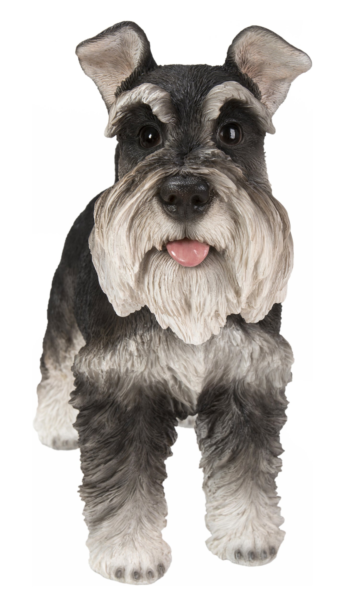 Standing Miniature Schnauzer
