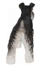 Load image into Gallery viewer, Standing Miniature Schnauzer
