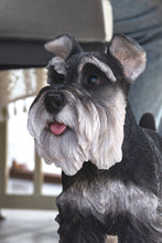 Load image into Gallery viewer, Standing Miniature Schnauzer
