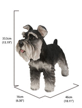 Load image into Gallery viewer, Standing Miniature Schnauzer
