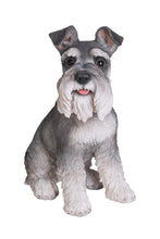 Load image into Gallery viewer, Grey Schnauzer Statue
