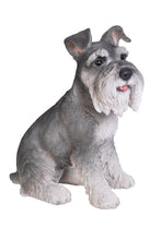 Load image into Gallery viewer, Grey Schnauzer Statue

