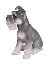 Load image into Gallery viewer, Grey Schnauzer Statue
