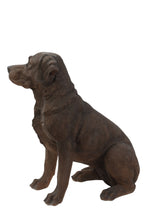 Load image into Gallery viewer, Brown Labrador Retriever Sitting
