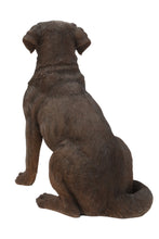 Load image into Gallery viewer, Brown Labrador Retriever Sitting
