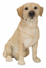 Load image into Gallery viewer, Sitting Brown Labrador
