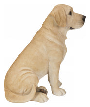 Load image into Gallery viewer, Sitting Brown Labrador

