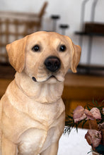 Load image into Gallery viewer, Sitting Brown Labrador
