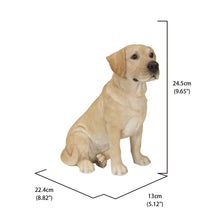 Load image into Gallery viewer, Sitting Brown Labrador
