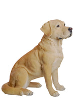 Load image into Gallery viewer, Yellow Labrador Retriever Sitting
