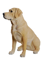 Load image into Gallery viewer, Yellow Labrador Retriever Sitting
