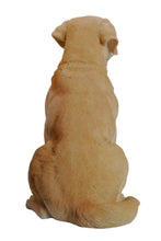 Load image into Gallery viewer, Yellow Labrador Retriever Sitting
