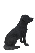 Load image into Gallery viewer, Noble Black Labrador Sitting
