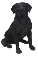 Load image into Gallery viewer, Noble Black Labrador Sitting
