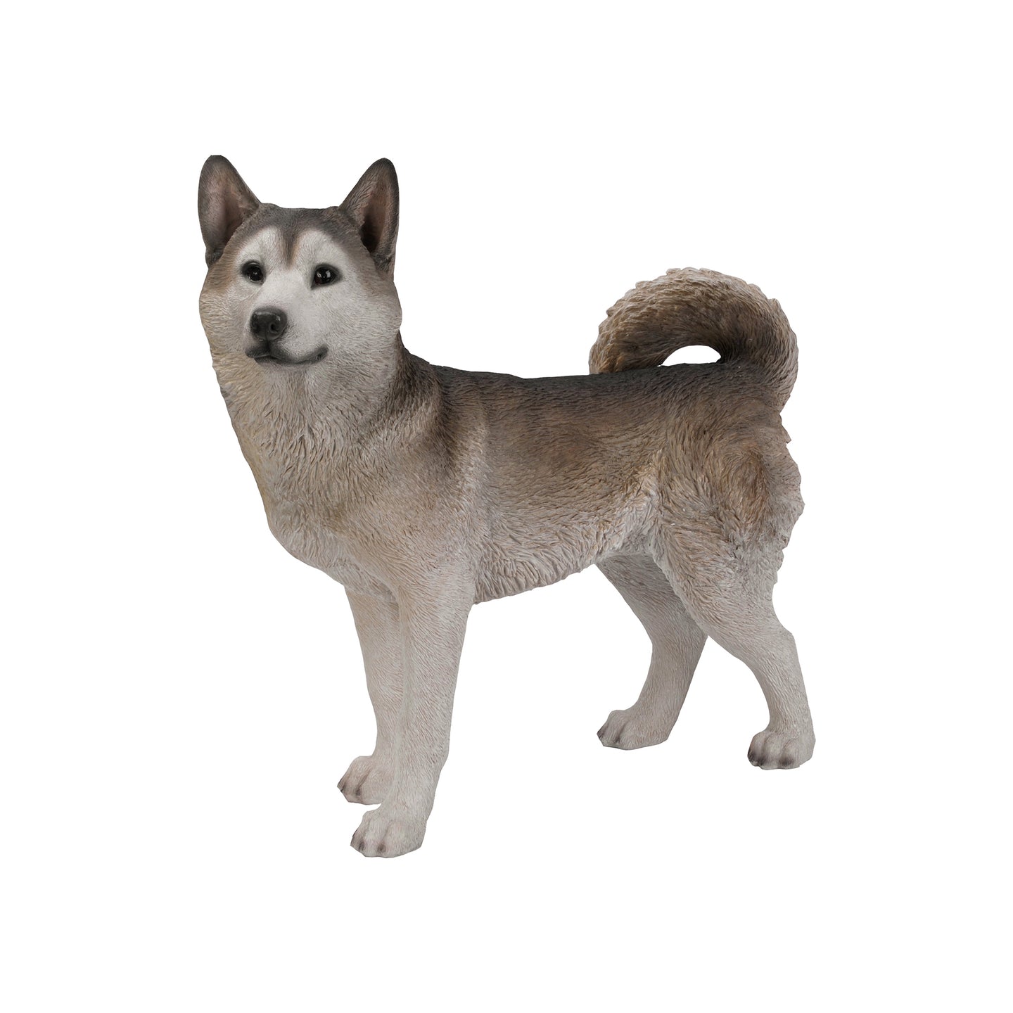 Siberian Husky Statue