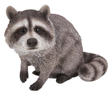 Load image into Gallery viewer, Raccoon Sitting Statue
