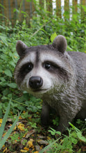 Load image into Gallery viewer, Raccoon Sitting Statue
