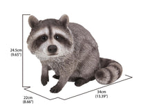 Load image into Gallery viewer, Raccoon Sitting Statue
