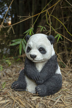 Load image into Gallery viewer, Small Panda Cub Sitting
